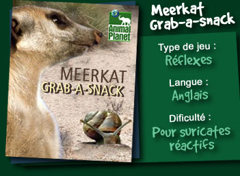 Meerkat grab-a-snack