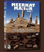 DVD Meerkat Manor (Le Clan des Suricates)