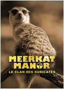 Meerkat Manor : Le Clan des Suricates